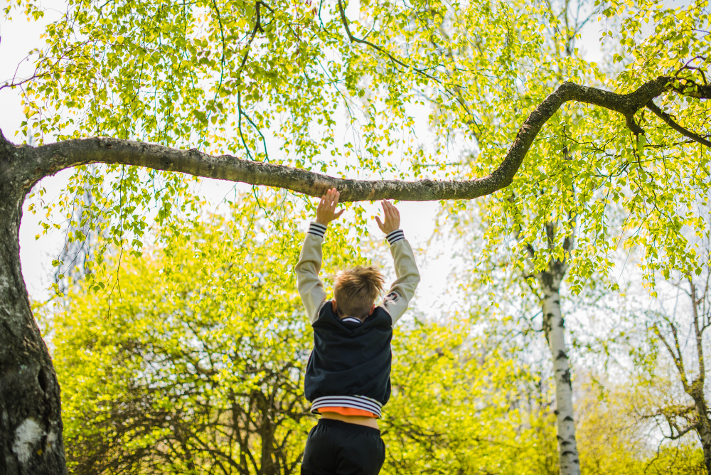 Which Is the Safest Device to Use While Climbing a Tree or in a Tree Stand?